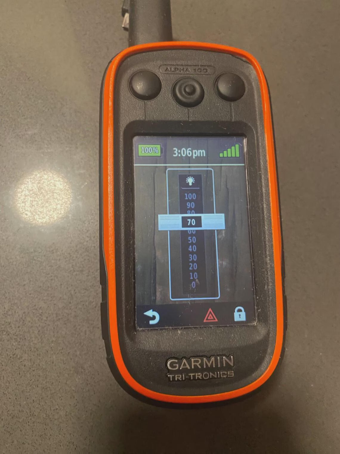 Garmin Alpha 300 TT25 Combo – Handheld GPS and Dog Collar for Hunting & Training, New Full Box