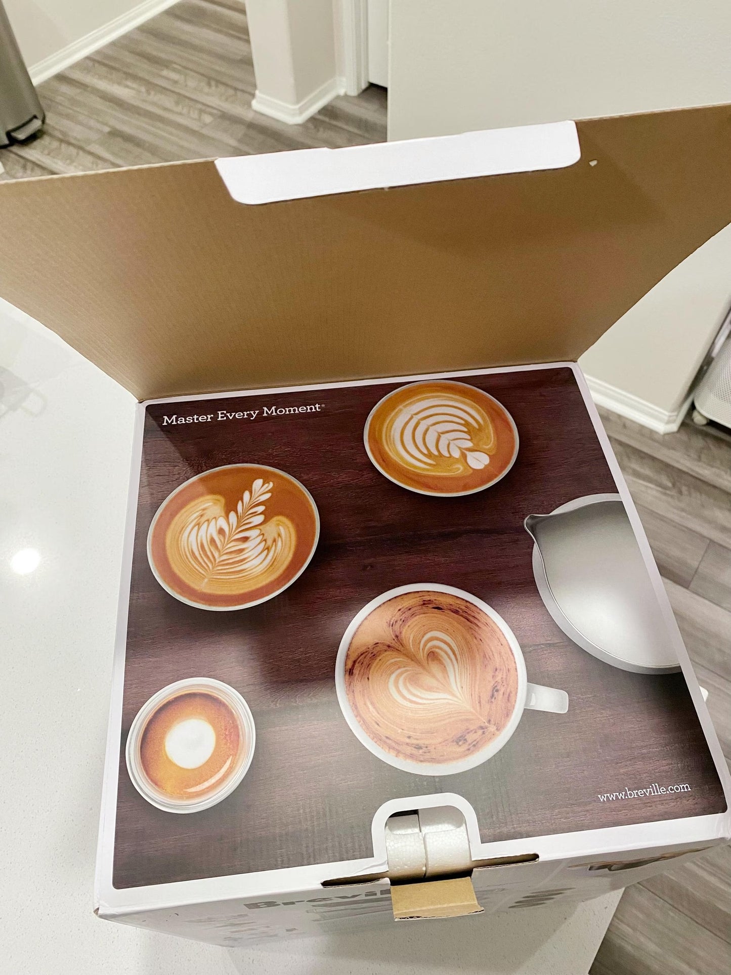 Breville Stainless Steel Barista Express Espresso Machine Light Silver BES870XL: 15 Bars Pressure, Milk Frother, Grinder-1